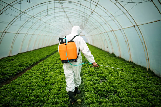 Best Mosquito Control Services  in Harlan, IA