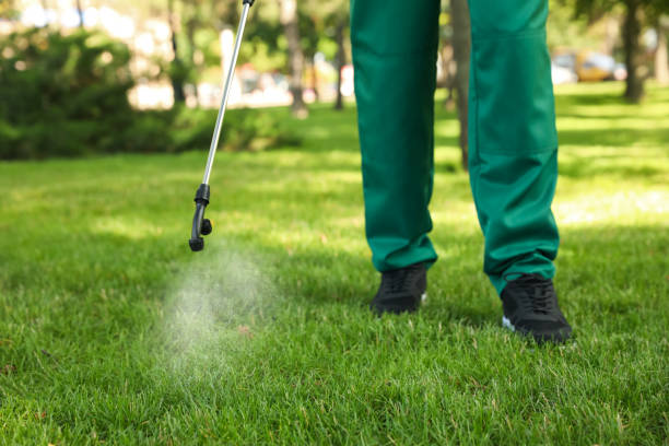 Pest Prevention Services in Harlan, IA