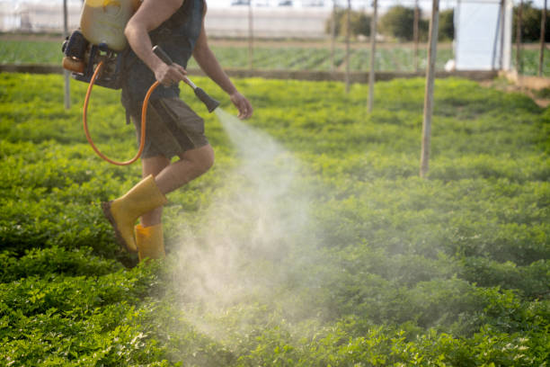 Best Pest Inspection Near Me  in Harlan, IA