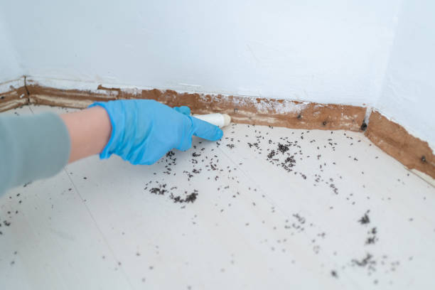 Best Wildlife Control Services  in Harlan, IA